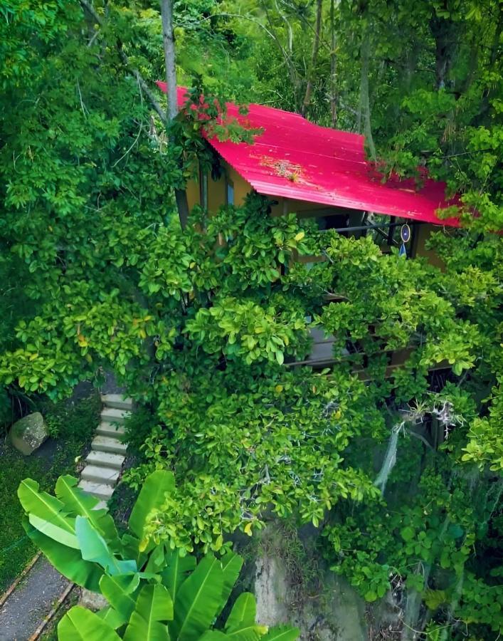 Hotel Campestre Rocas Del Paraiso Machetá Eksteriør bilde